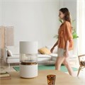 Увлажнитель воздуха Smartmi Humidifier Rainforest (CJJSQ06ZM) 275172