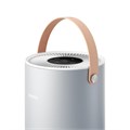 Очиститель воздуха (светло-серый) Smartmi Air Purifier P1 (silver) (ZMKQJHQP12) 273136